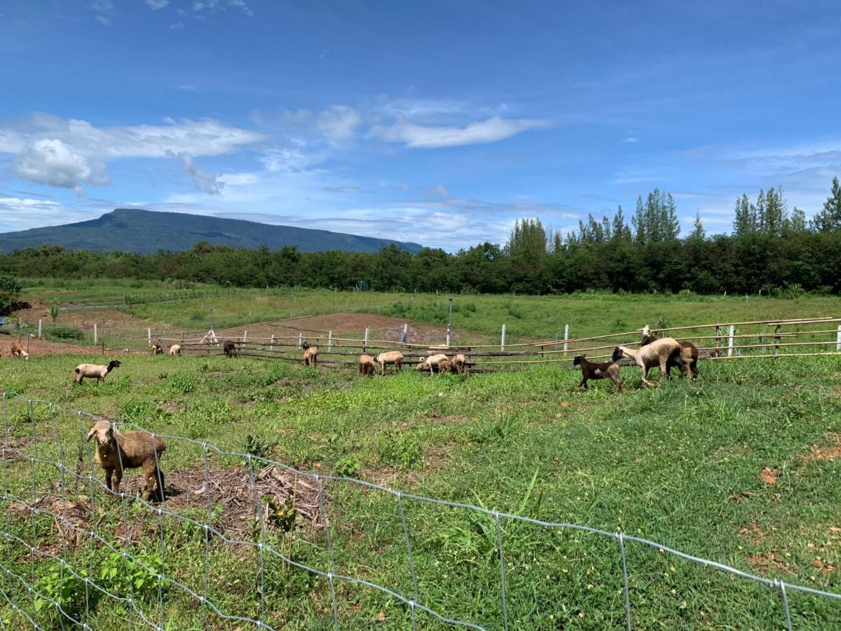 ฟาร์มแกะภูกระดึง Waraporn Valley Ban Nong Tum Dış mekan fotoğraf