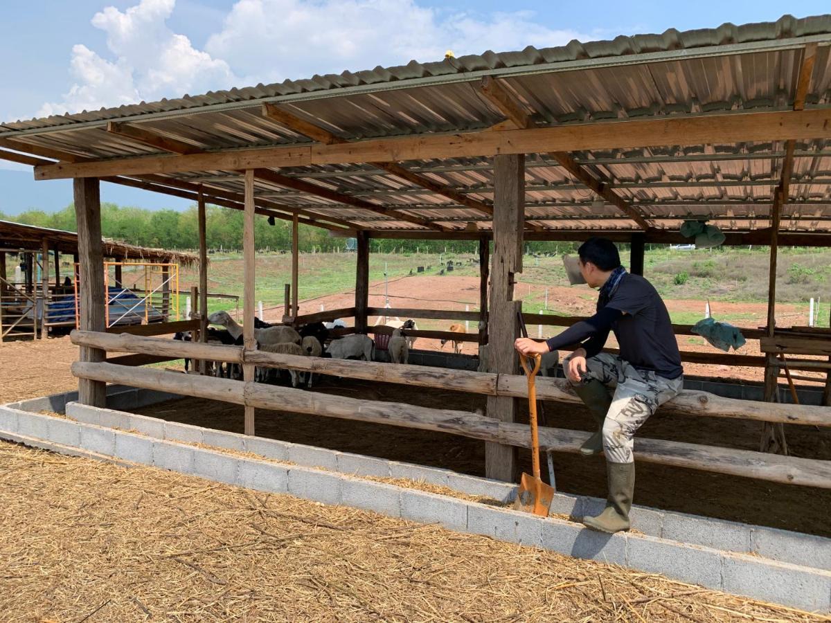 ฟาร์มแกะภูกระดึง Waraporn Valley Ban Nong Tum Dış mekan fotoğraf
